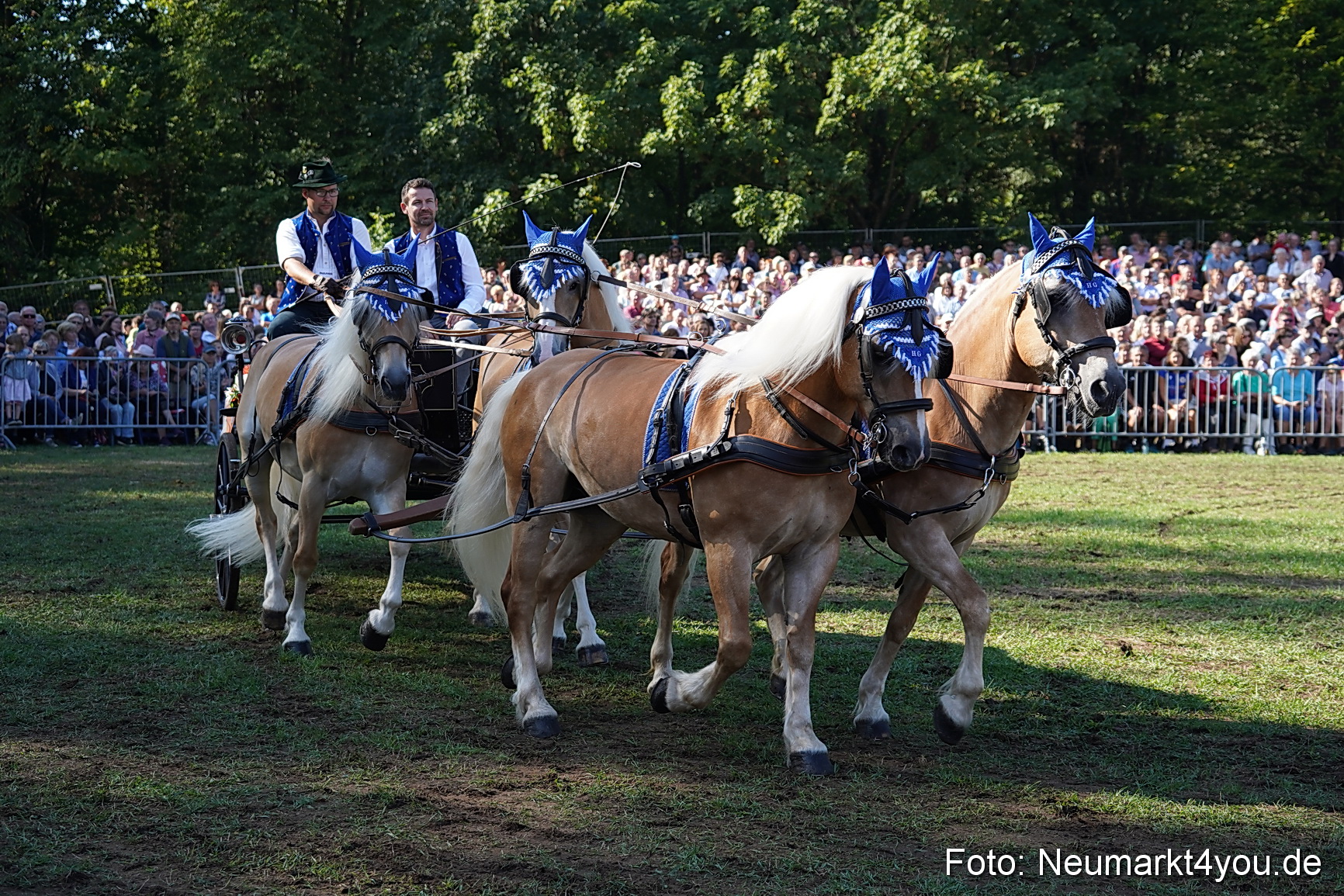 Pferde und Fohlenschau 2022 0105 